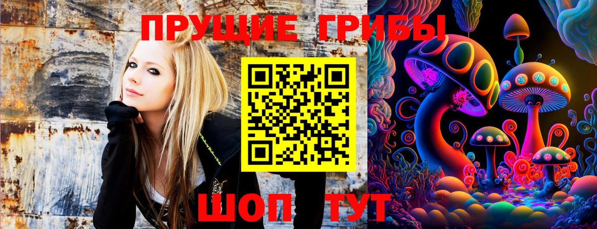 Партизанск  Галлюциногенные грибы ЛСД  Вход с VPN  Галлюциногенные грибы Psilocybine cubensis 